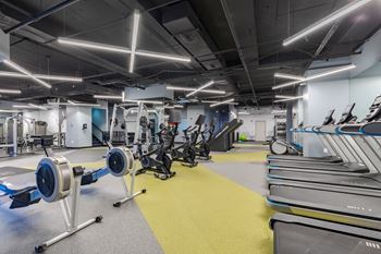 a gym with cardio equipment and weights on the floor